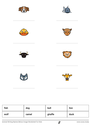 Animal Writing Names Below Image Worksheet for Kids