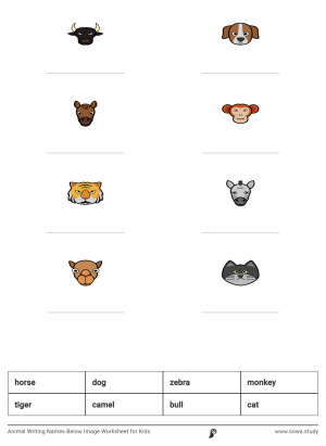 Animal Writing Names Below Image Worksheet for Kids