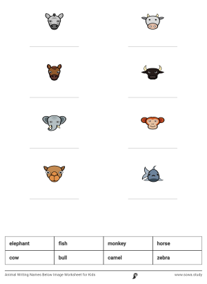 Animal Writing Names Below Image Worksheet for Kids